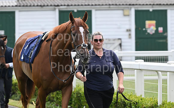 Gt_Yarm_18_June_May_2026-2