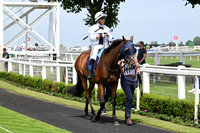 Gt_Yarm_18_June_May_2026-5