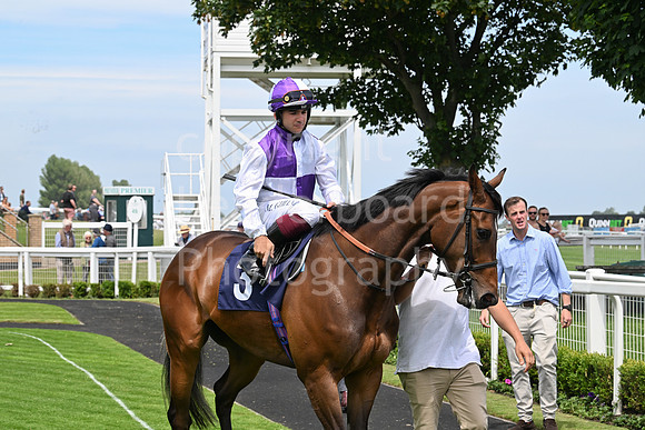 Gt_Yarm_18_June_May_2026-8