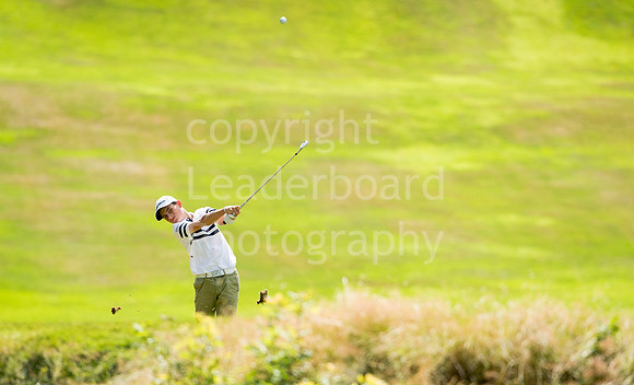 LB_Reid_2016_1076