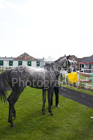 Great Yarmouth  Race Seven 11th Aug 2021 0493