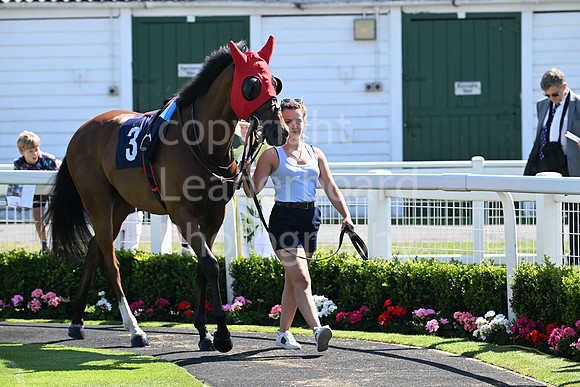Gt_Yarm_July_30_2024-141