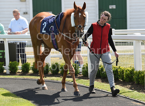 Gt_Yarm_18_May_2022-54