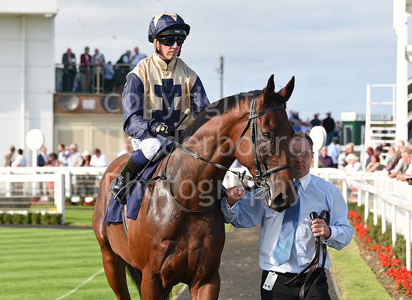 Gt_Yarm_14_Sept_2022-122