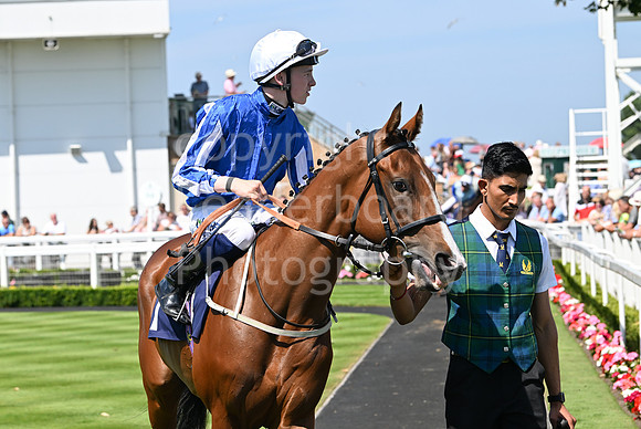 Gt_Yarm_July_30_2024-56