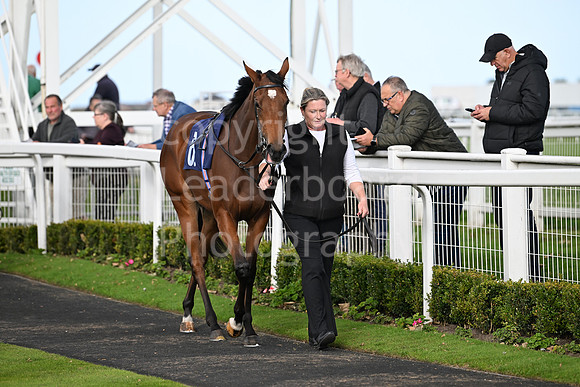 Gt_Yarm_Oct_7_2024-35