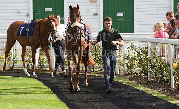 21_GY_Races_20Aug
