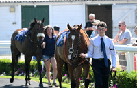Gt_Yarm_8_July_2026-2