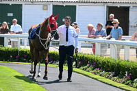 Gt_Yarm_8_July_2026-3