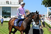 Gt_Yarm_8_July_2026-19