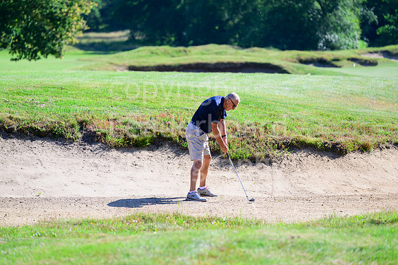 Z91_3818