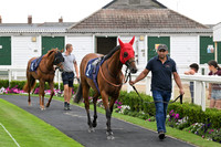 Gt_Yarm_15_July_2026-1
