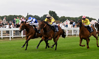Gt_Yarm_15_July_2026-18