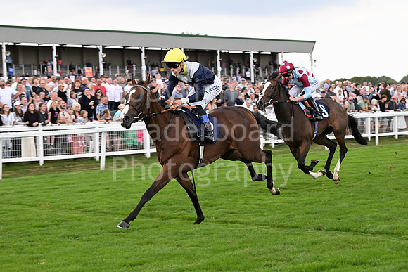 Gt_Yarm_24_Aug_2025-65
