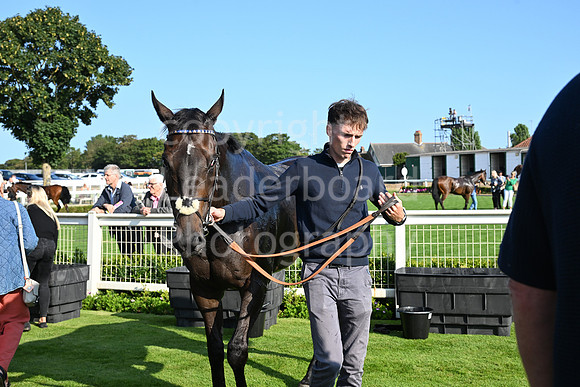 Gt_Yarm_23_July_2026-55