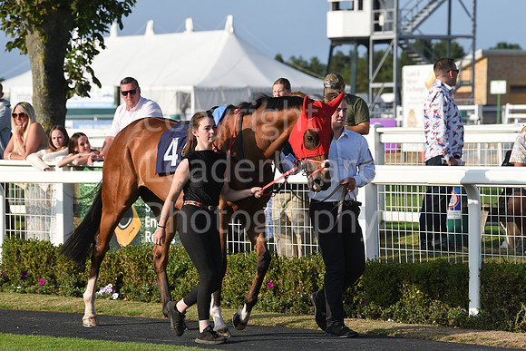Gt_Yarm_23_July_2026-83