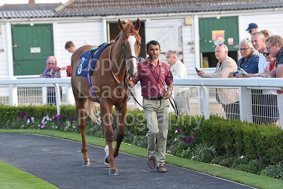Gt_Yarm_23_July_2026-122