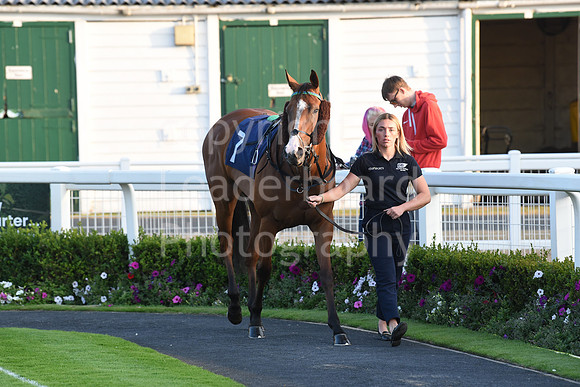 Gt_Yarm_23_July_2026-150