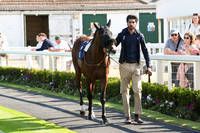 Gt_Yarm_23_July_2026-1