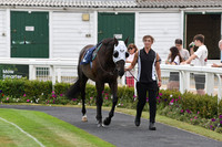 Gt_Yarm_28_July_2026-1