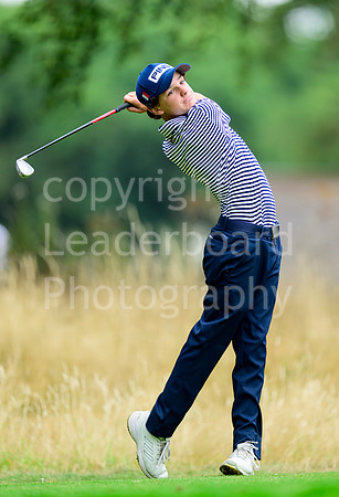 N91_3877
