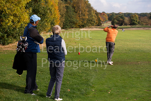 NB_124_Bromley_9_Hole