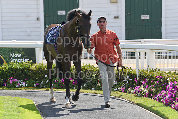 Gt_Yarm_14_Aug_2026-2