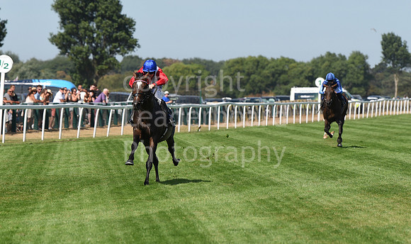 Gt_Yarm_14_Aug_2026-9