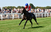 Gt_Yarm_14_Aug_2026-12