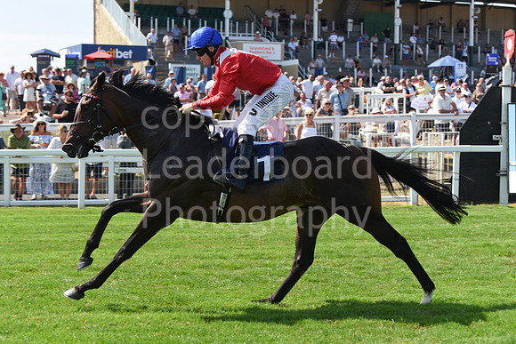 Gt_Yarm_14_Aug_2026-16