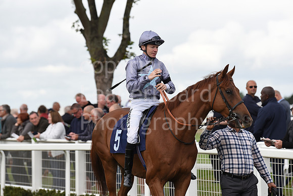 Gt_Yarm_15_Sept_2022-131