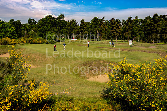 LB_Brabazon_2017_3185