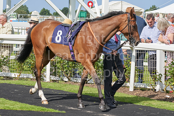 Great Yarmouth  Race Six 11th Aug 2021 0430