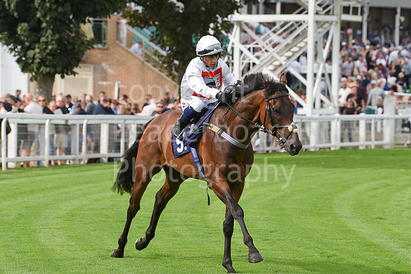 Gt_Yarm_Sun_30_Aug_2026-74