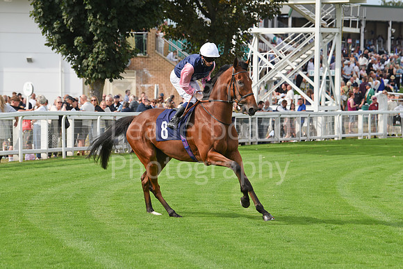 Gt_Yarm_Sun_30_Aug_2026-76