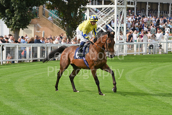 Gt_Yarm_Sun_30_Aug_2026-81