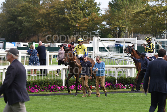 Gt_Yarm_Sun_30_Aug_2026-93