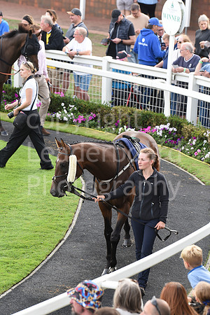 Gt_Yarm_Sun_30_Aug_2026-105
