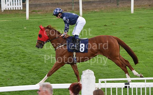 Gt_Yarm_Sun_30_Aug_2026-118
