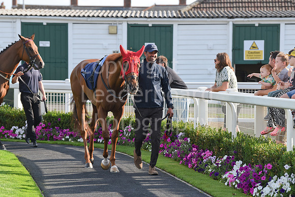 Gt_Yarm_Sun_30_Aug_2026-188