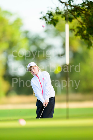 N91_6253