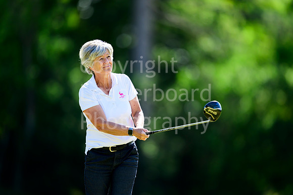 N91_8696
