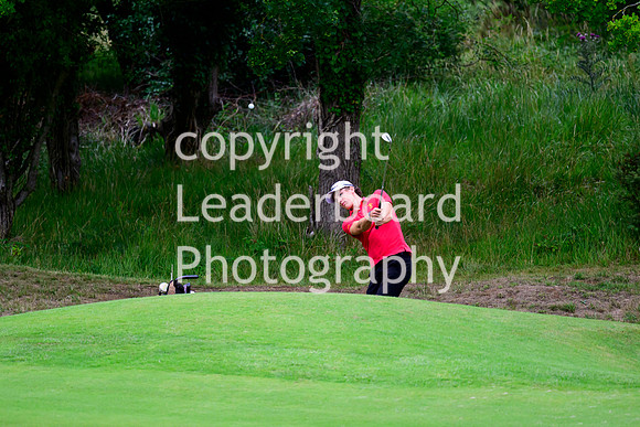 NZ9_4303