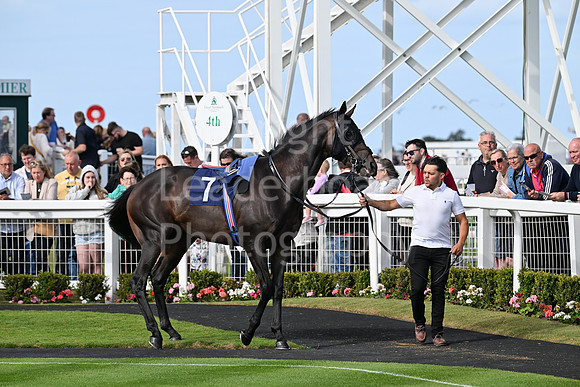 Gt_Yarm_25_Aug_Family_Raceday_2024-126