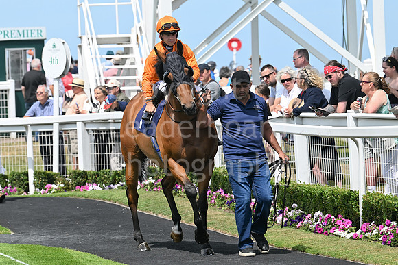 Gt_Yarm_Residents_Day_June_27-8