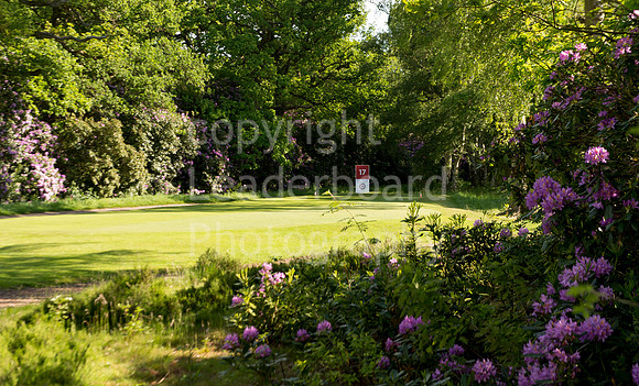 LB_Brabazon_2017_3123