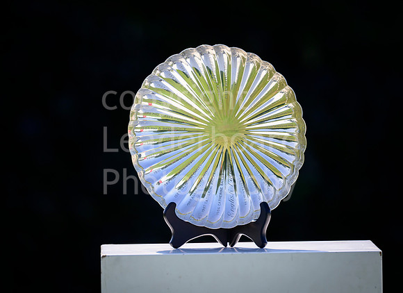LBM_0018