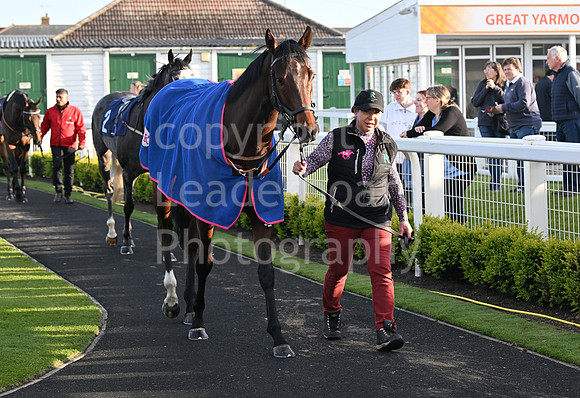Gt_Yarm_May_4th_2024-159