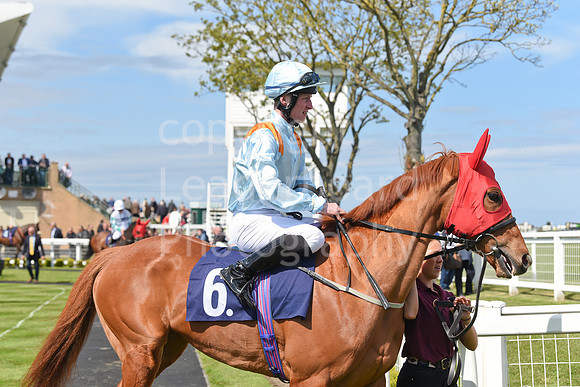 Gt_Yarm_May_2nd_2023-9