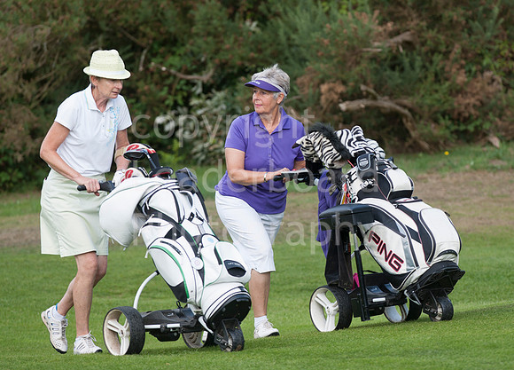 NB_Liphook_Senior.